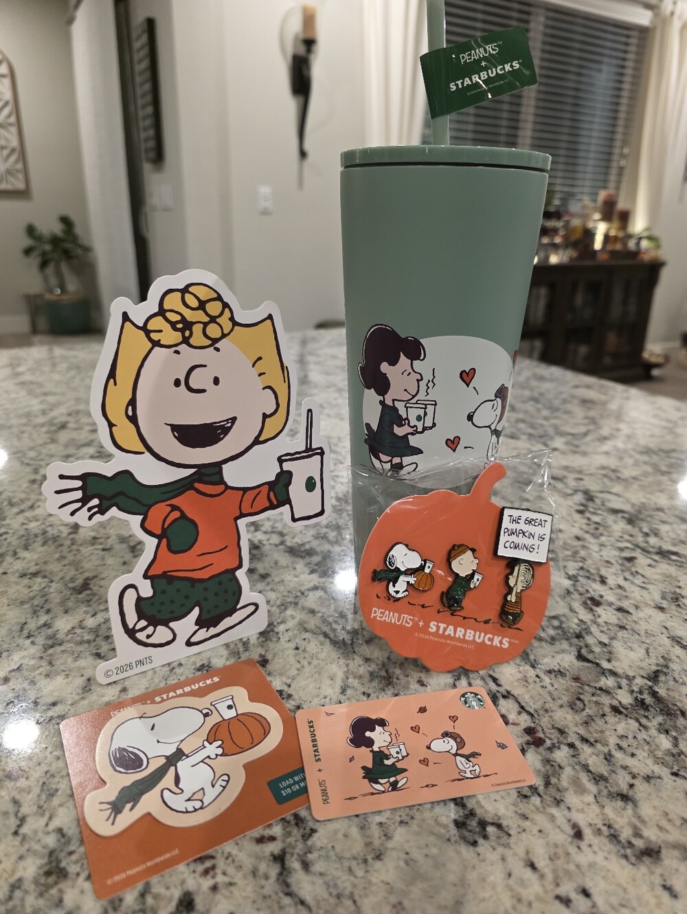 Starbucks X Peanuts Mint Green Tumbler with Pin Set